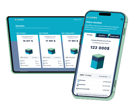 Asset Manager: A Customized Web App