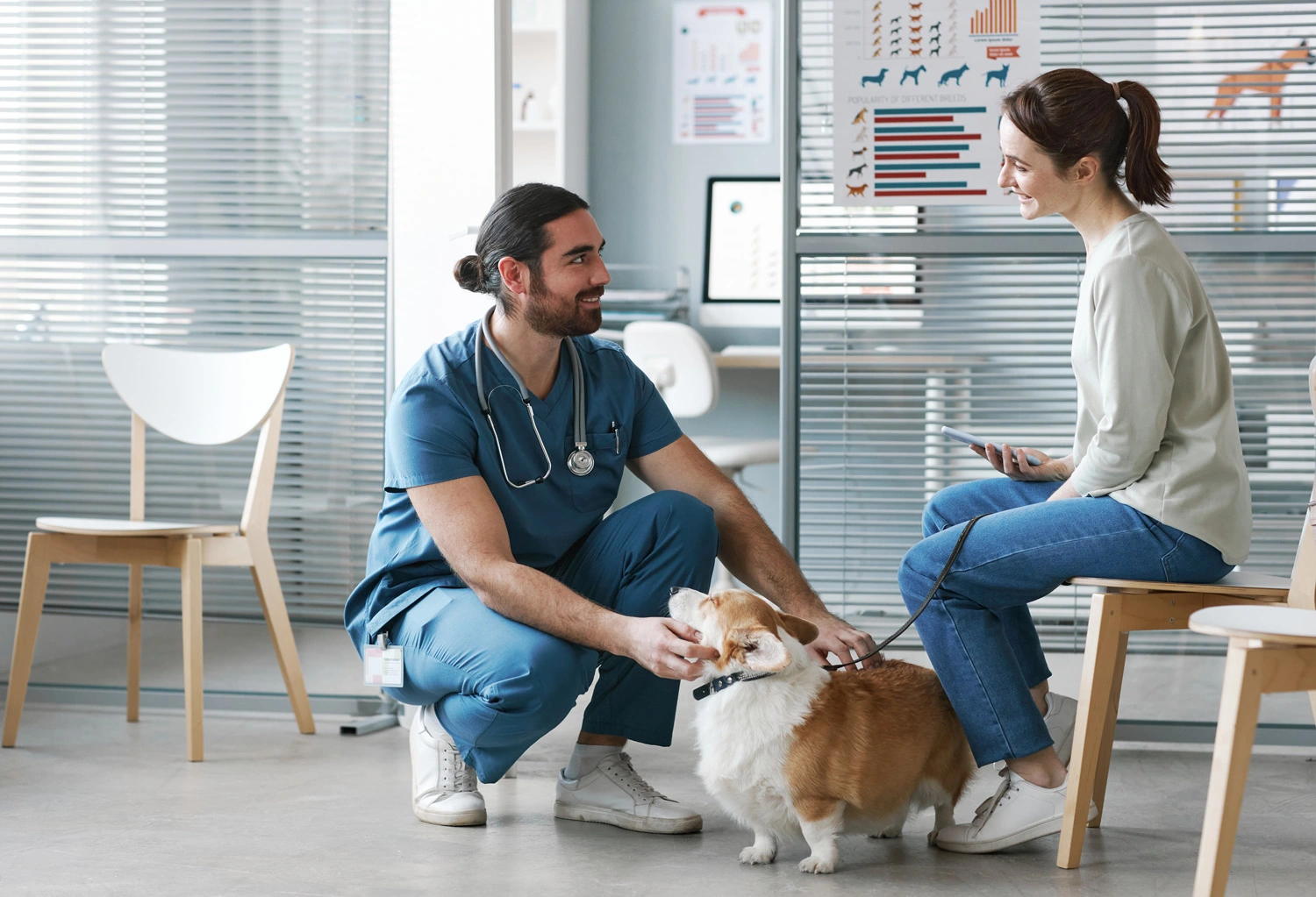 taking charge of pets in clinics